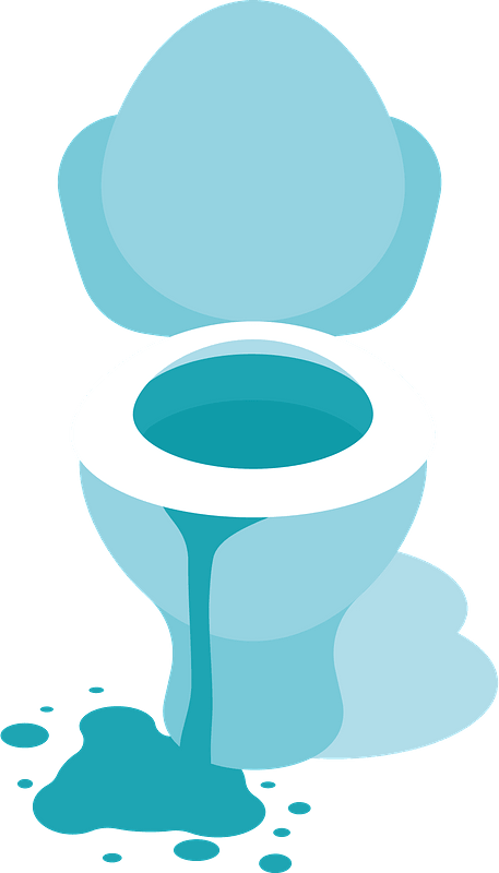 Overflowed toilet bowl