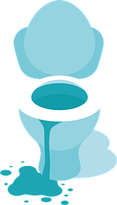 Overflowed toilet bowl