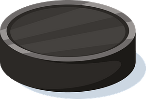 Rubber puck