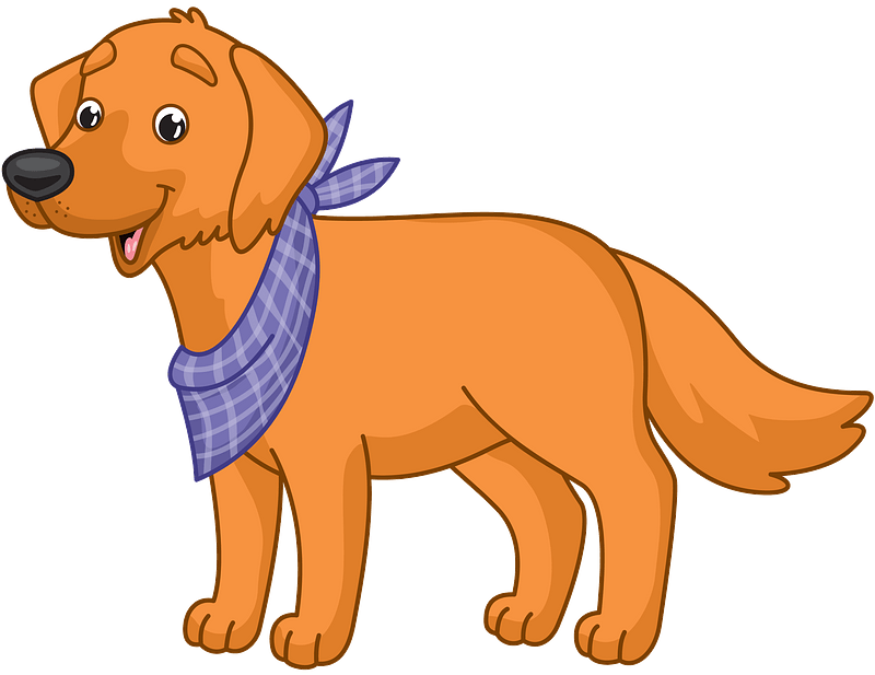 Labrador retriever