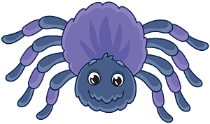 Spider