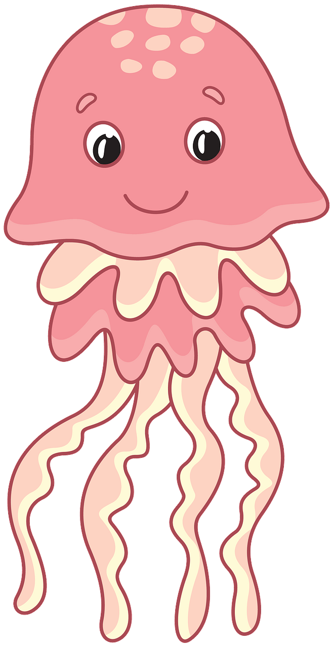 Jellyfish