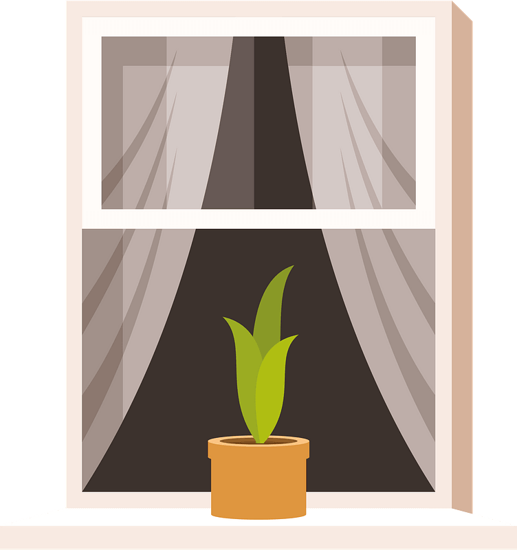 Window with flower