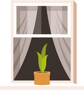 Window with flower