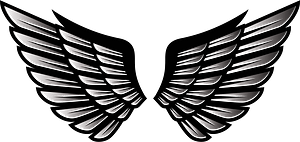 Wings