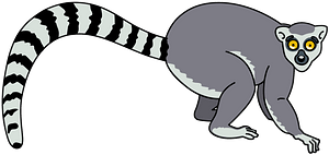 Lemur