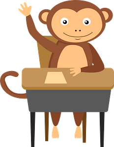 Monkey at school