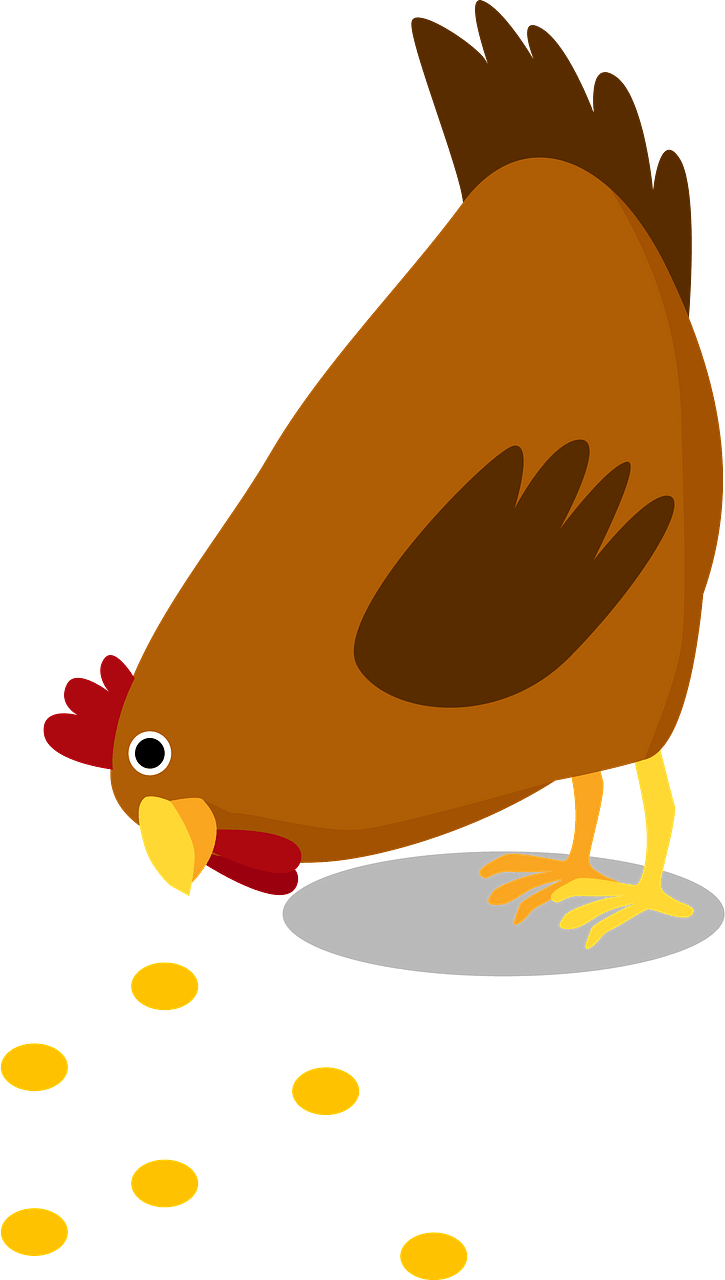 Chick