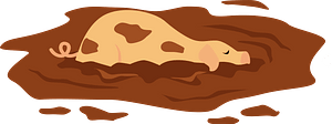 Pig in a mud puddle