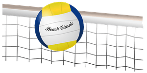 Volleyball ball and net