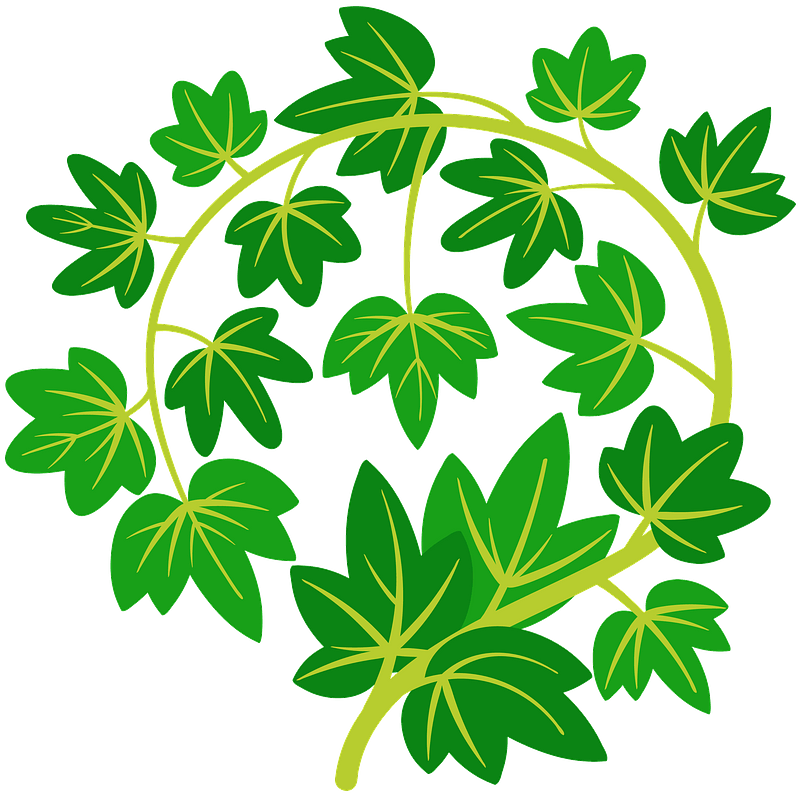 Ivy