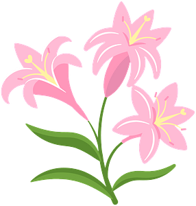 Lilies