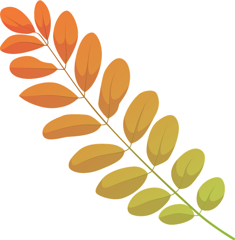 Black locust autumn leaf