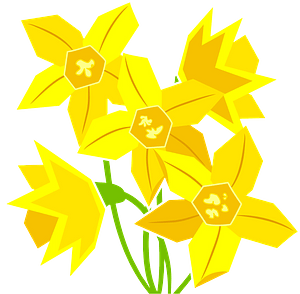 Daffodils