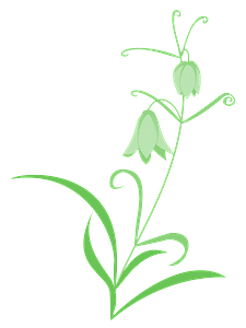 Lily of the valley