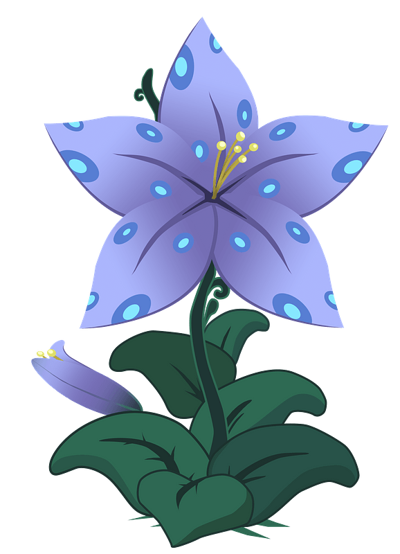 Purple lily