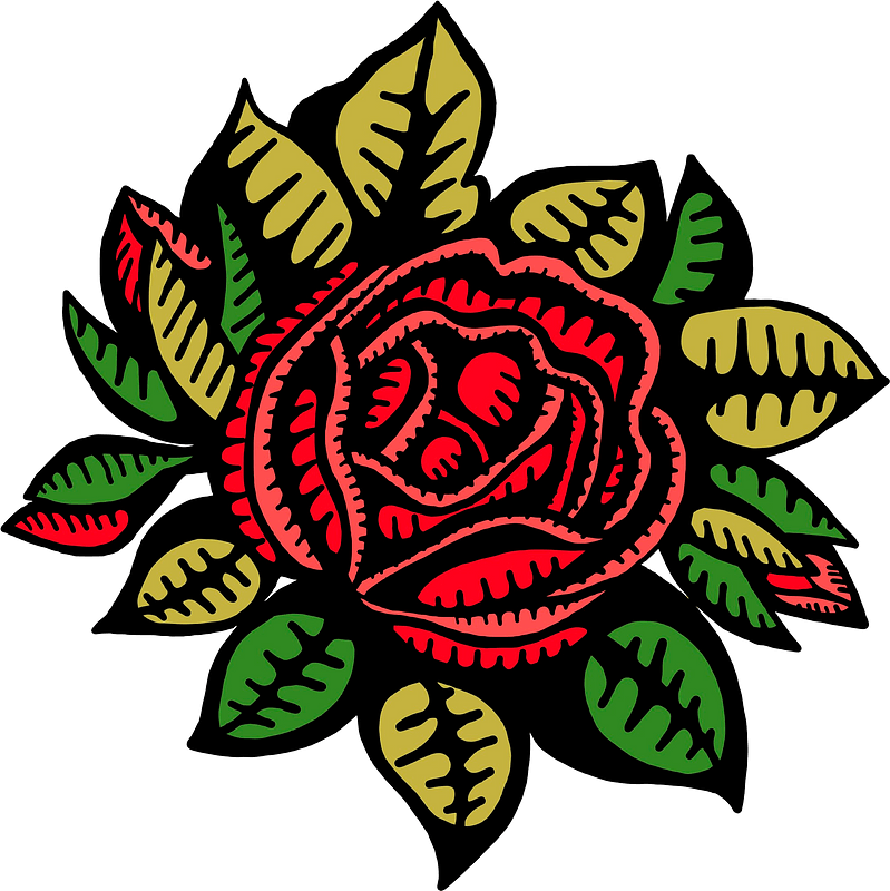 Drawn rose