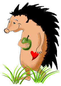 Cute walking hedgehog