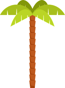 Palmera