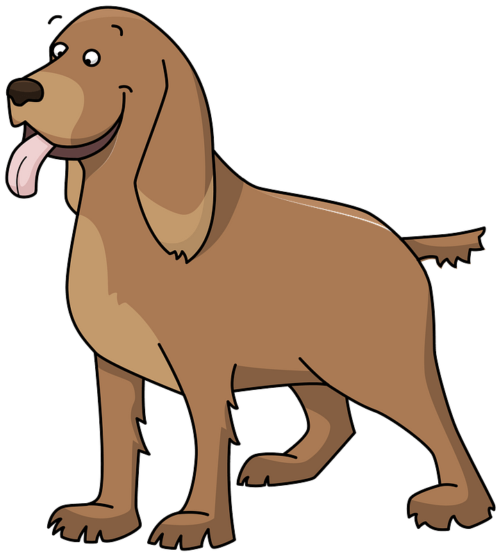 英国可卡犬