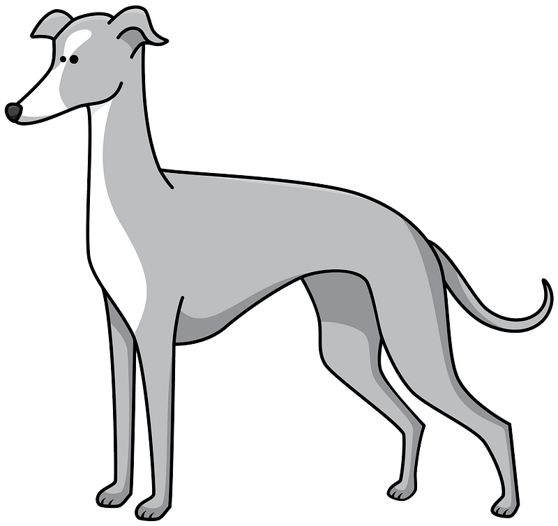 Greyhound