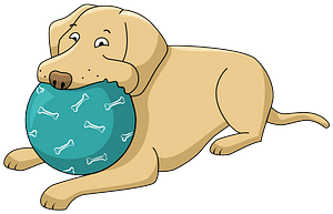 Labrador with a ball