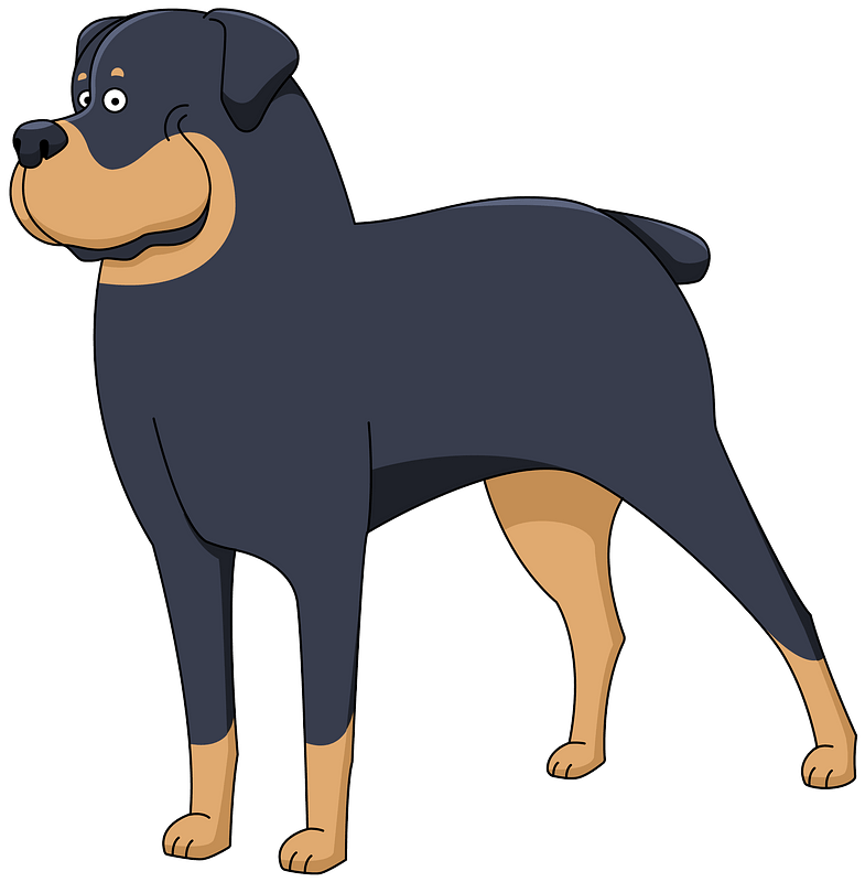 Rottweiler