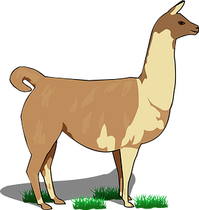 Llama