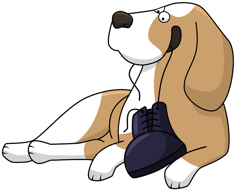 Beagle