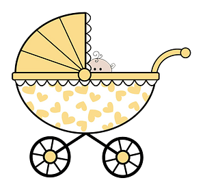 Baby in a stroller