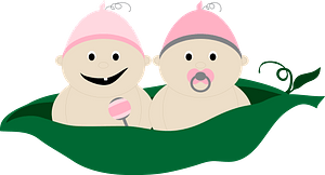 Baby peas in a pod