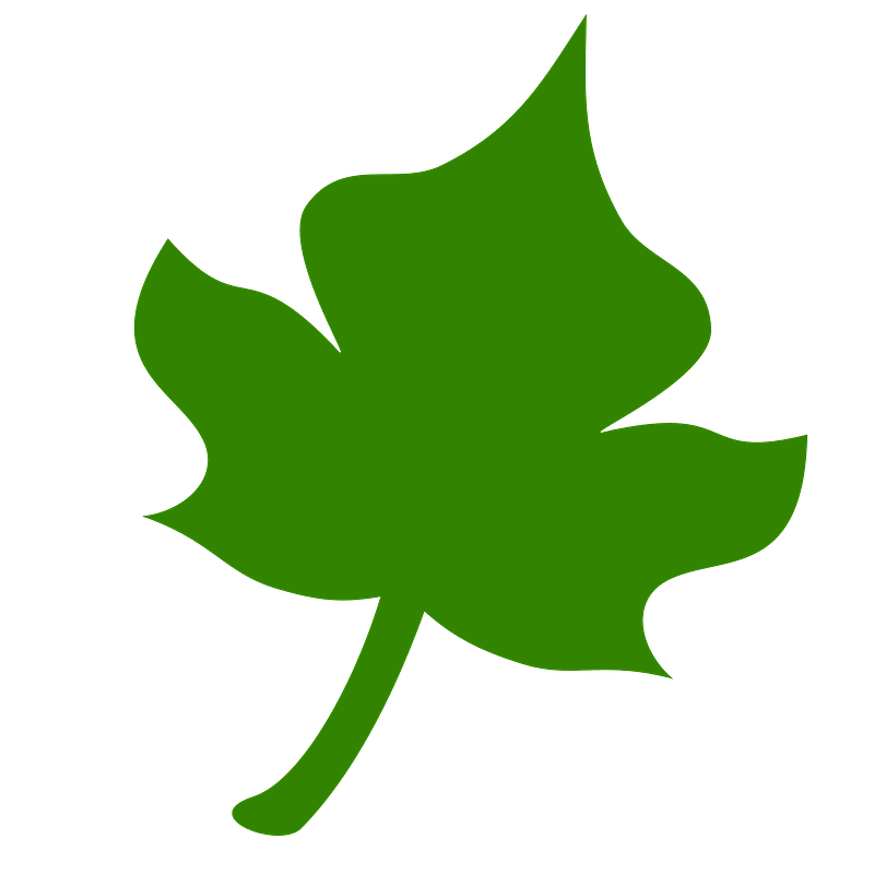 Green leaf icon