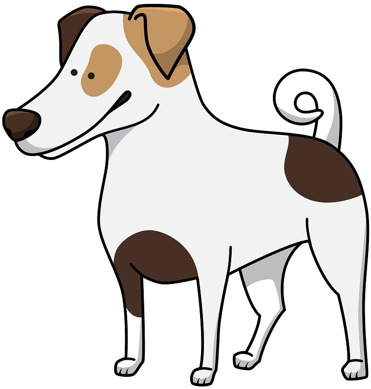 Jack Russell Terrier