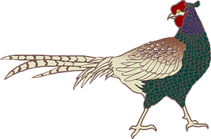 Pheasant