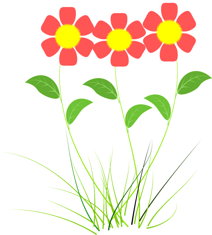 赤い花