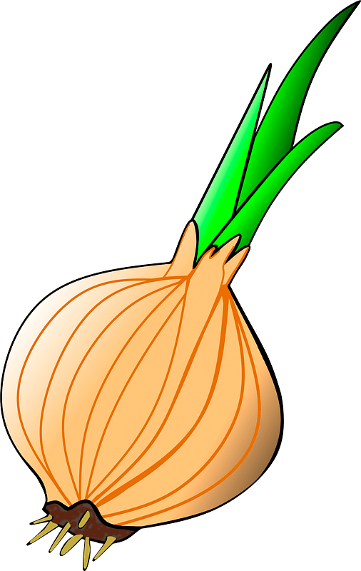 Onion