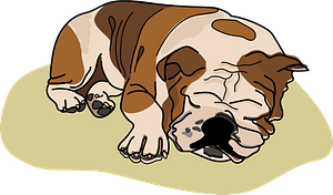 Sleeping bulldog