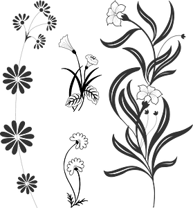 Drawn flowers