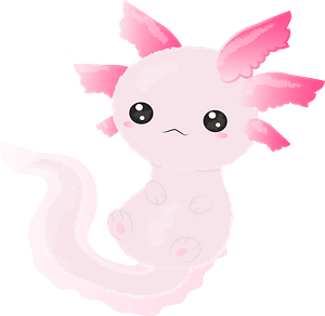 Axolotl - Free vector clipart images on creazilla.com