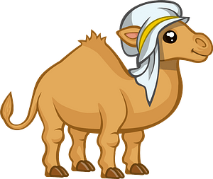 Camel