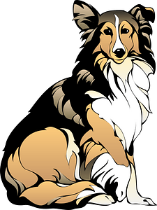 Collie