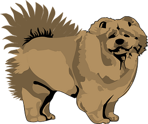 Chow-chow
