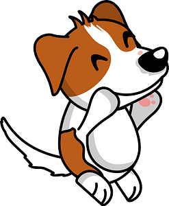 Jack Russell Terrier