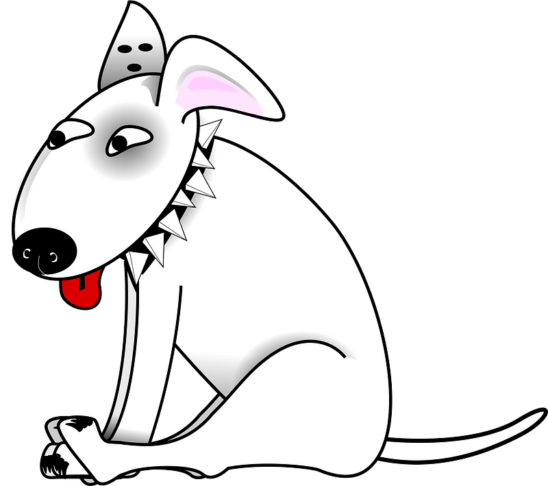 Funny Bull Terrier