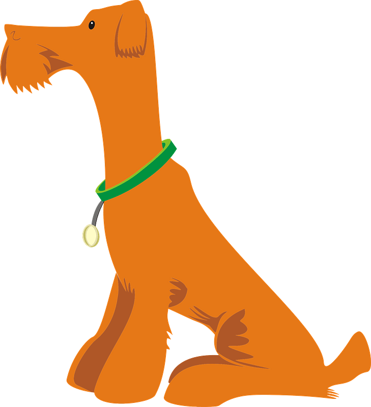 Airedale Terrier
