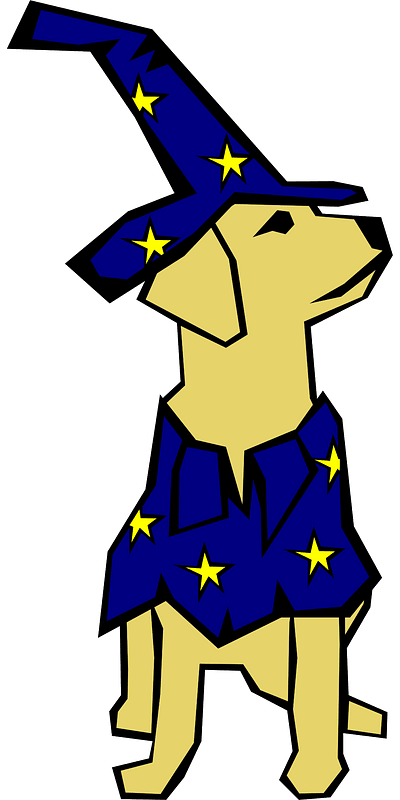 Retriever in a Wizard costume