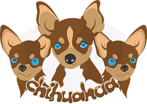 Chihuahua dogs