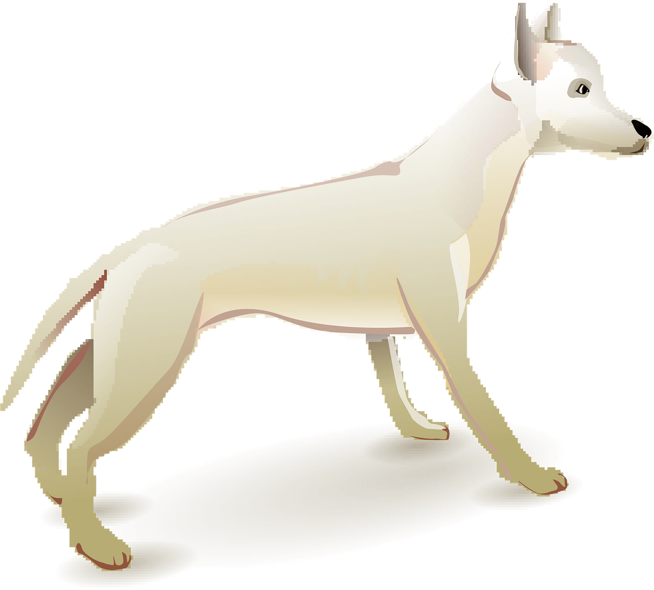satsuki イラスト white dog