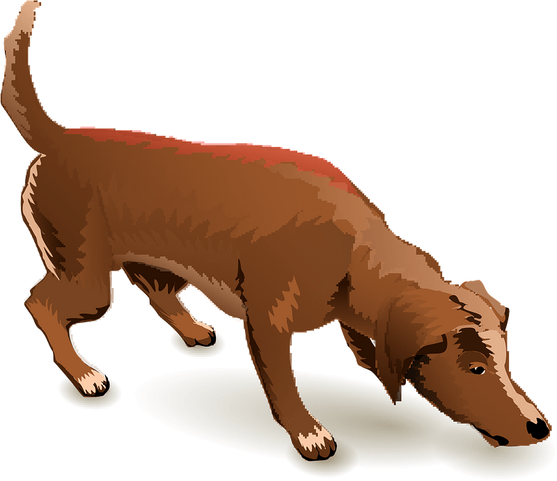 Sniffing dog - Free vector clipart images on creazilla.com