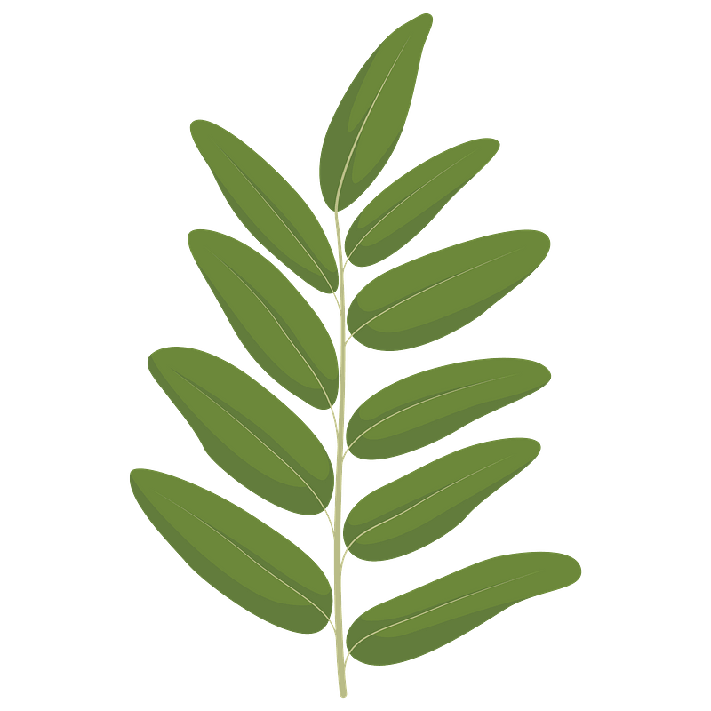 Honey locust spring leaf
